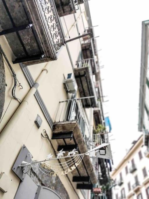 Apartment La Del Porto Antico Naples